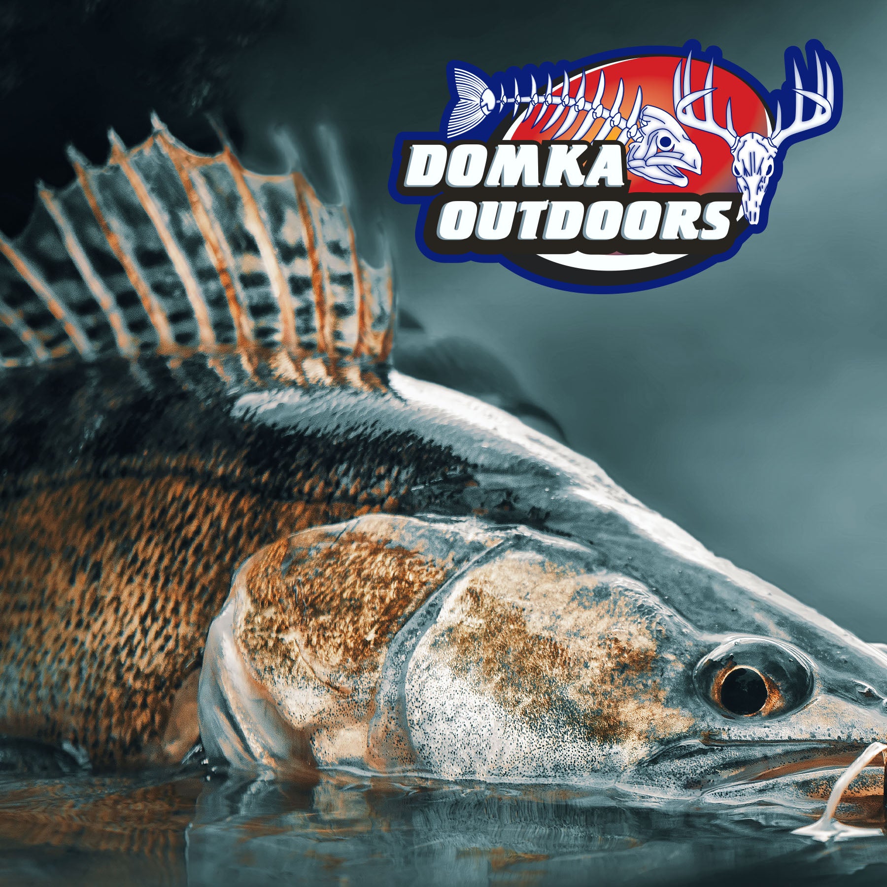 Crank Bait Of The Month – Domka Outdoors